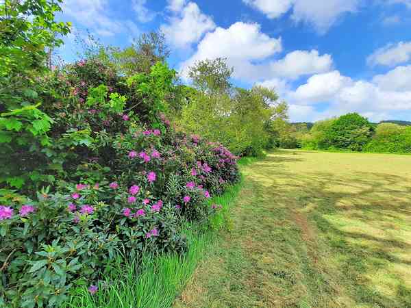 Emplacement pour tente (River Field) sur herbe sans électricité