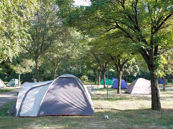 Dedicated tent area Dedicated tent area