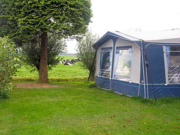 Befestigter und grasbewachsener Stellplatz mit Stromanschluss
