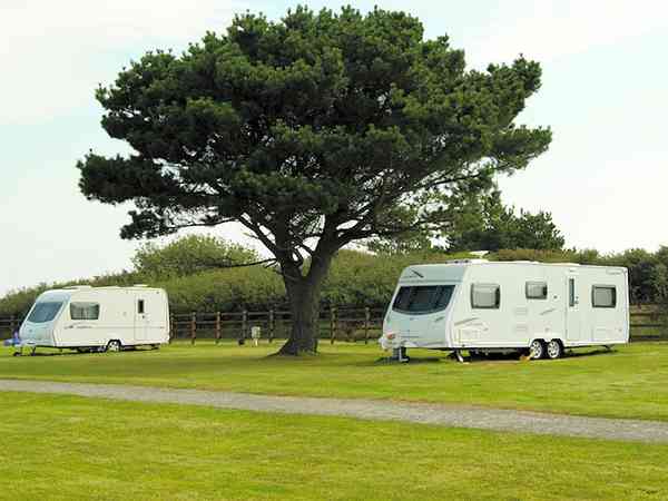 Electric grass pitch