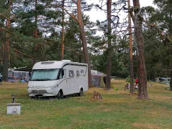 Parcela sobre suelo de bosque con electricidad para autocaravana