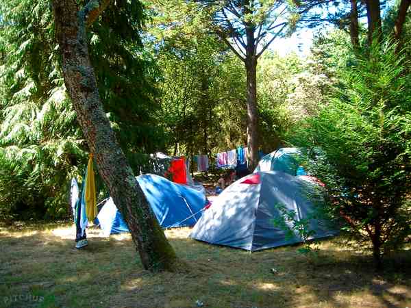 Areal til telt, til trailer-telt eller kørende campingvogn med græs med valgfri elektricitet