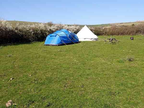 Non-electric grass tent pitch (2 adults and 2 children)