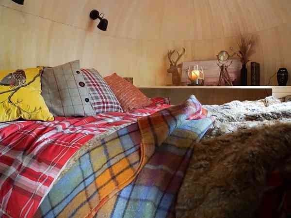 Major's Lodge cabin