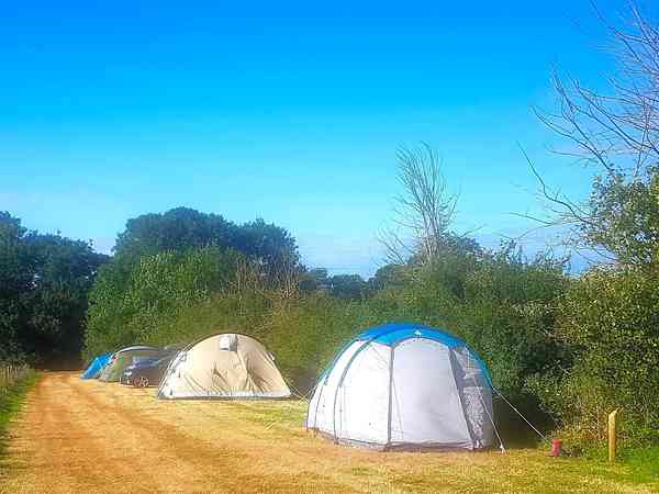 Non-electric grass and earth tent, trailer tent or campervan pitch (wild)