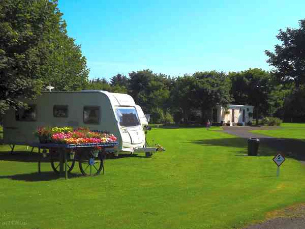 Electric grass pitch