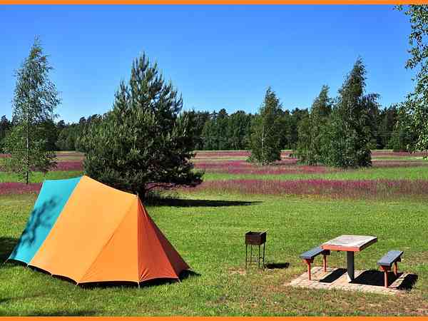 Electric optional grass tent pitch