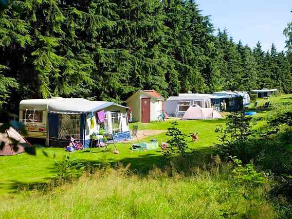 Emplacement pour véhicule de tourisme sur herbe avec branchements d'eau, d'égout et d'électricité (sanitaires privés)