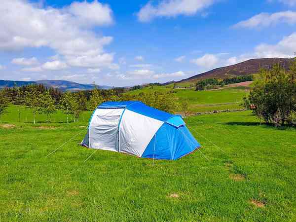 Unpowered grass tent site (medium)