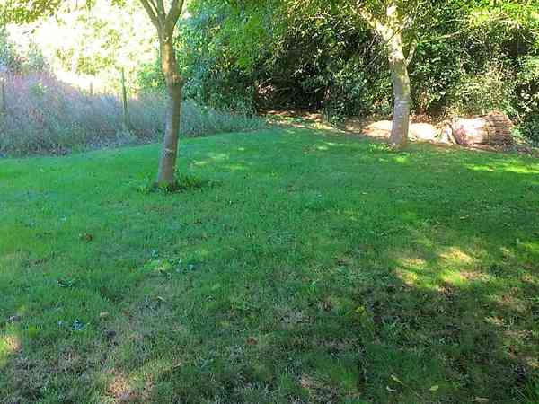 Walnut Orchard non-electric grass tent pitch (maximum 2 adults)