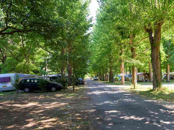 Non-electric grass pitches under the trees Non-electric grass pitches under the trees