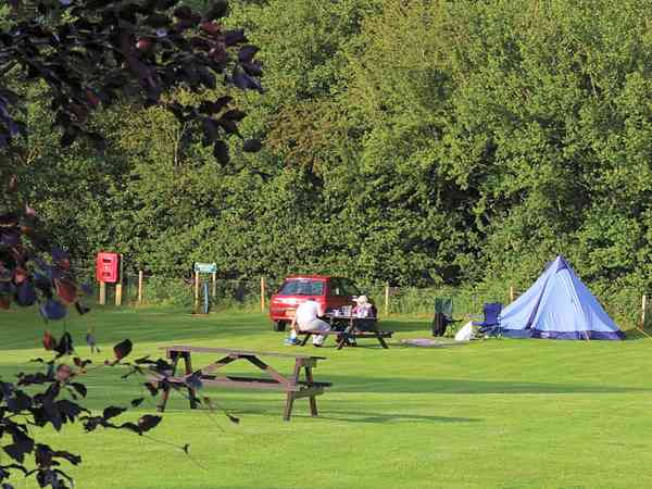 The camping meadow The camping meadow