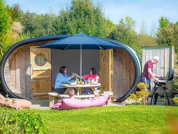 The pod The pod