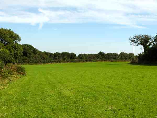 Non-electric grass tent pitch (large)