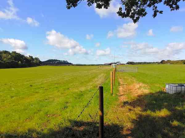 Primitive grass tent or trailer tent site