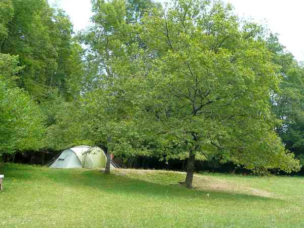 Non-electric grass tent pitch