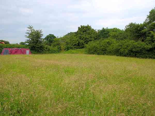Non-electric grass tent pitch