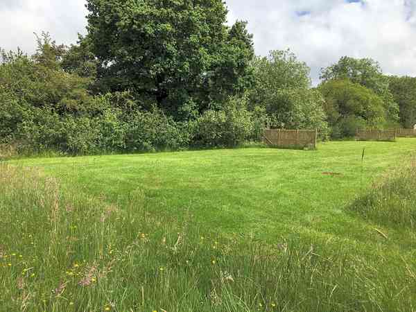 Non-electric grass pitch (no pets, adults only)