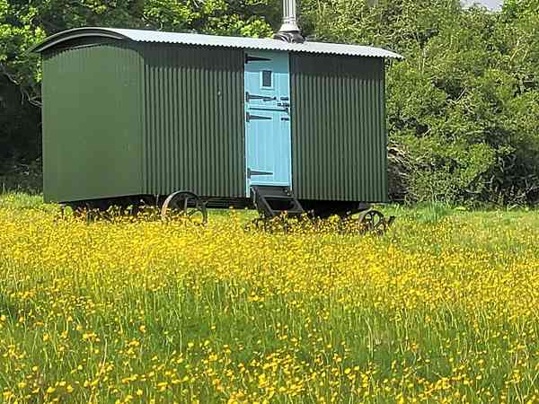 Shepherd's hut