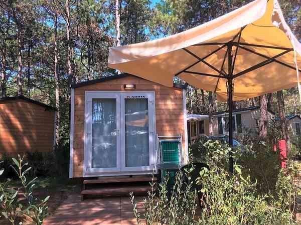 Casa mobile Wood 1 camera