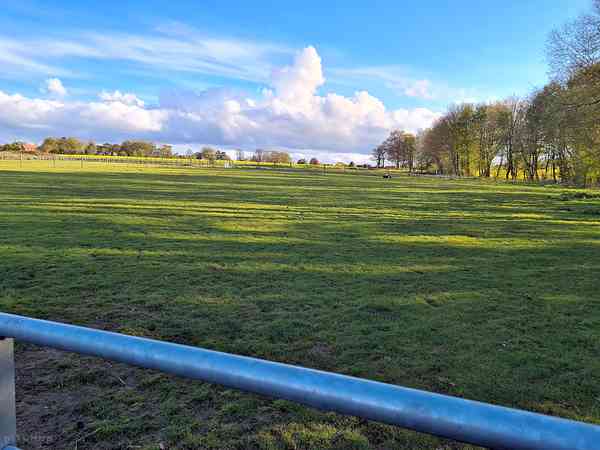 Stable Field non-electric grass tent, trailer tent or campervan pitch