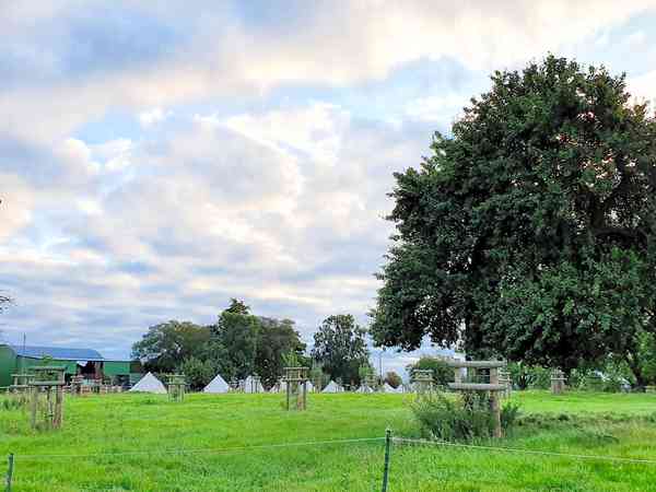 Tente cloche Lapwing