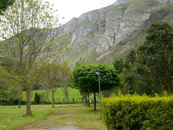 Electric optional grass tent pitch