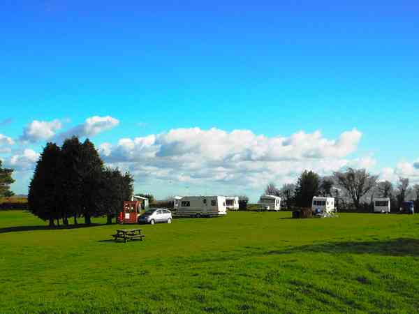Grasbewachsener Stellplatz mit Stromanschluss