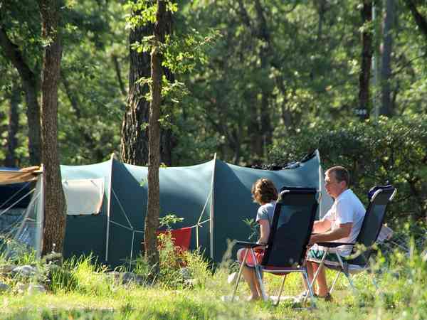Emplacement sur sol forestier sans électricité