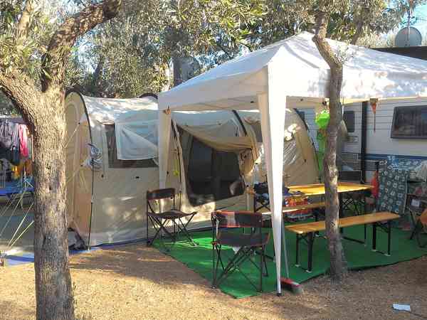 Shaded pitches under the trees Shaded pitches under the trees