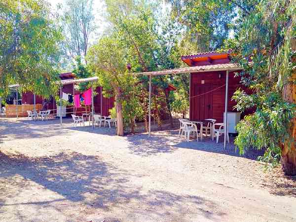 Mini-chalet (animaux interdits)