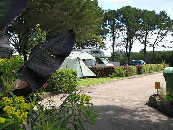 Piazzola roulotte/camper su erba con elettricità