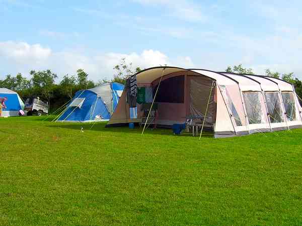 Spacious grass pitches Spacious grass pitches