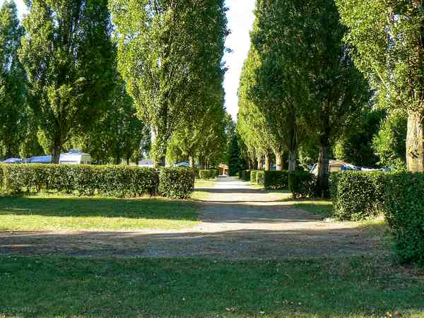 Fully-serviced grass site