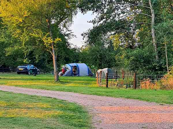 Emplacement sur herbe avec électricité