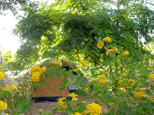 A tent pitched up A tent pitched up