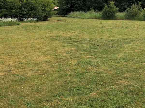 Grass pitch area Grass pitch area