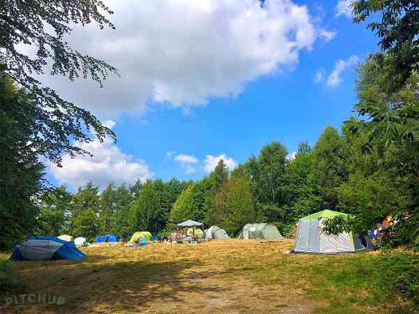 Grasbewachsener Zelt-Stellplatz Woodland Meadow ohne Stromanschluss