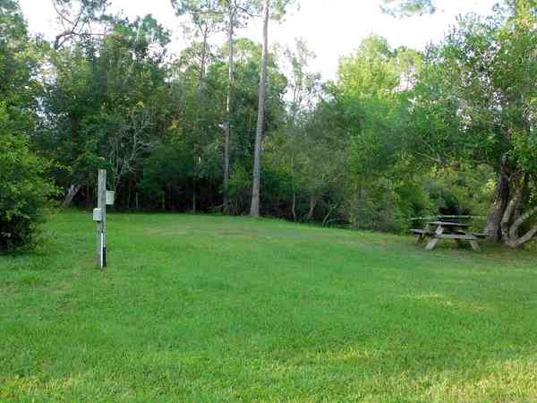 Spacious grassy areas Spacious grassy areas
