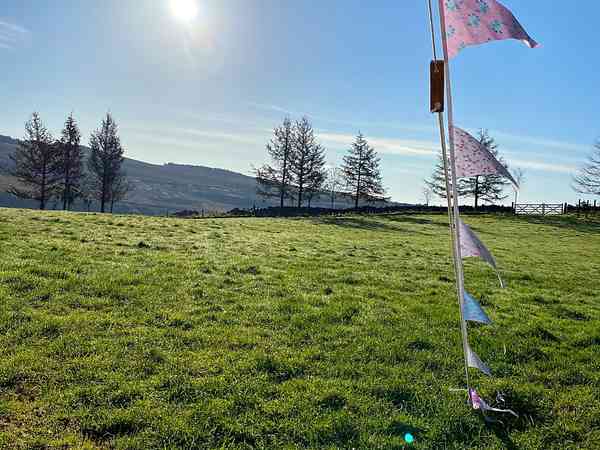 Bluebell bell tent