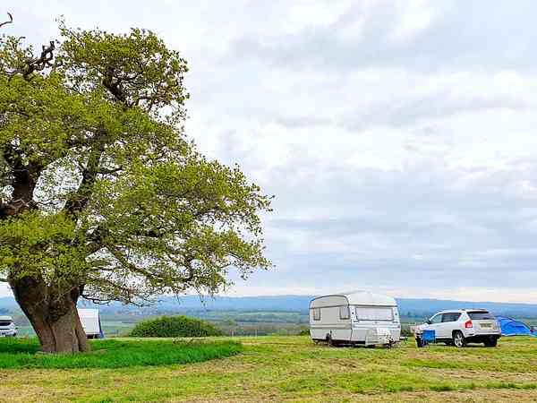 Emplacement sur herbe avec électricité