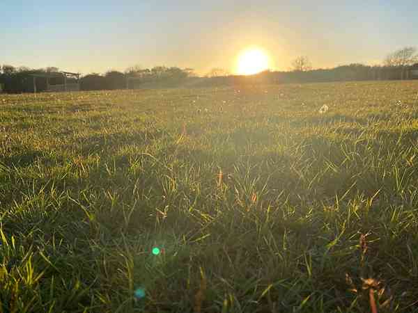 Primitive grass campervan site