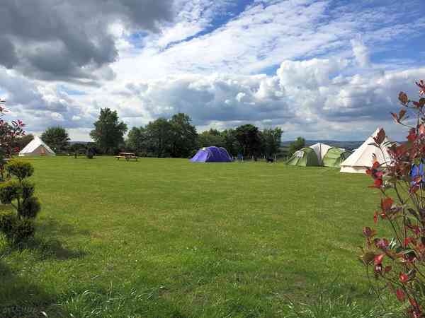Staplaats voor een tent of voor vouwwagen op gras zonder elektriciteit (deluxe, XL)