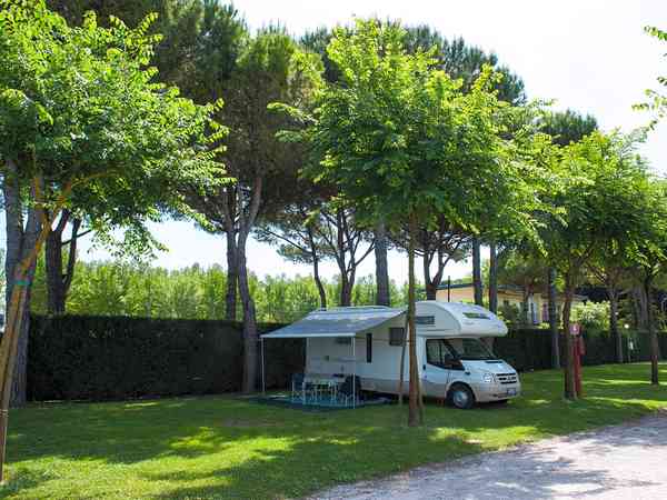 Shaded by trees Shaded by trees