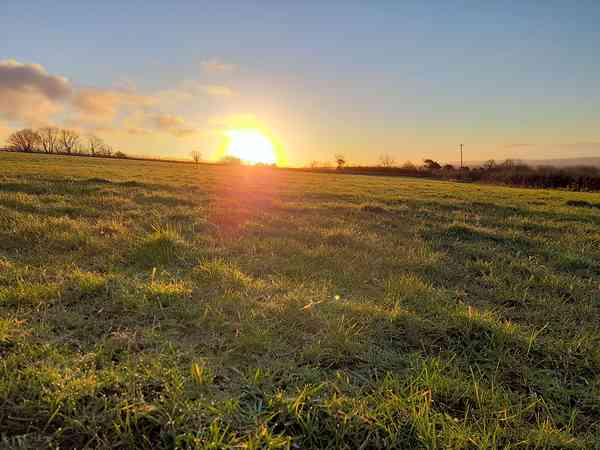 Electric grass pitch