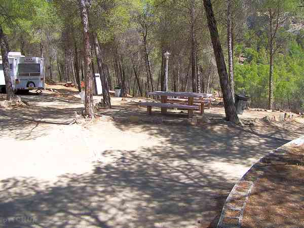 Electric earth touring caravan pitch (pinewood)