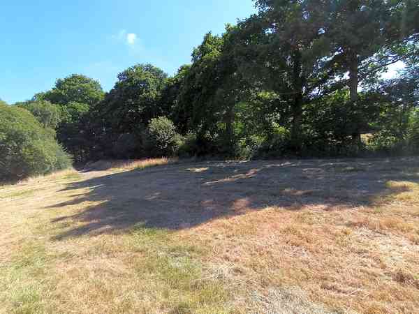 Primitive grass and earth RV site
