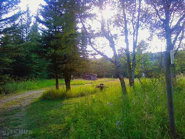 Peaceful woodland space Peaceful woodland space