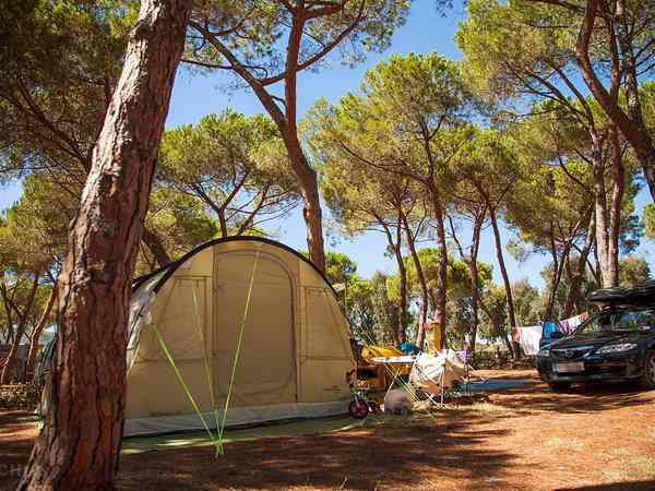 Piazzola su terreno misto con elettricità (2 posti)