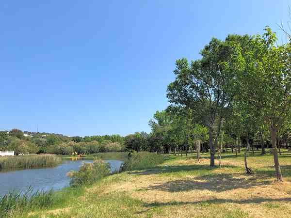 Electric forest floor pitch (lake view)